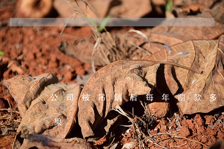 公司被吊銷后每年罰款多少(公司被吊銷的后果)