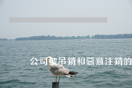 公司被吊銷和惡意注銷的法律責(zé)任