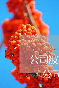 公司被訴訟期間可以申請(qǐng)注銷嗎(公司被起訴可以注銷嗎)