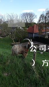 公司被起訴又撤訴能消除記錄嗎(對(duì)方撤訴后公司會(huì)有記錄嗎)
