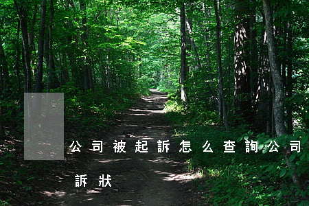 公司被起訴怎么查詢(公司被起訴怎么查詢起訴狀)