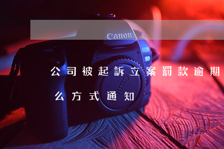 公司被起訴立案罰款逾期(逾期被起訴會以什么方式通知)