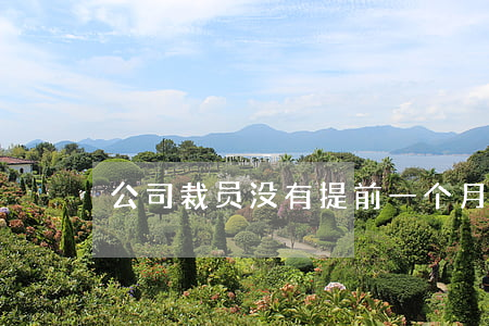 公司裁员没有提前一个月通知怎么赔偿
