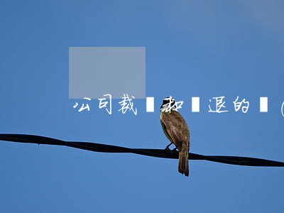 公司裁員和辭退的區(qū)別