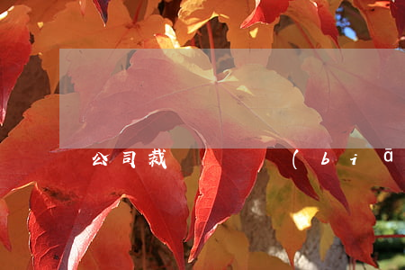 公司裁員補償標(biāo)準是什么