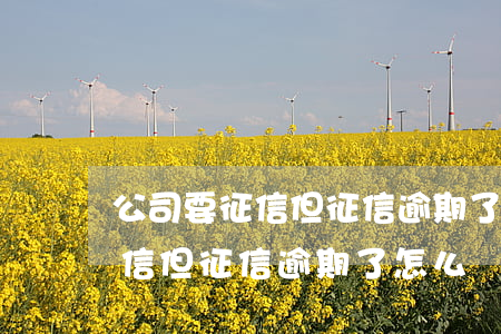 公司要征信但征信逾期了怎么辦-公司要征信但征信逾期了怎么辦呢