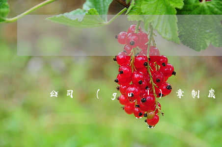 公司規(guī)章制度范本