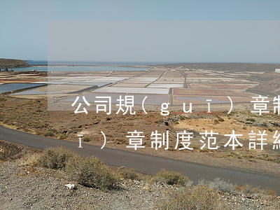 公司規(guī)章制度范本(公司規(guī)章制度范本詳細(xì)版)