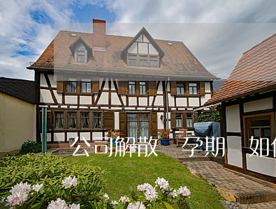 公司解散懷孕期間如何賠償