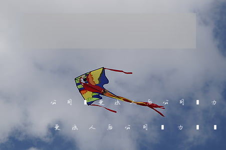 公司變更法人后公司無力償還貸款-公司變更法人后公司無力償還貸款怎么辦