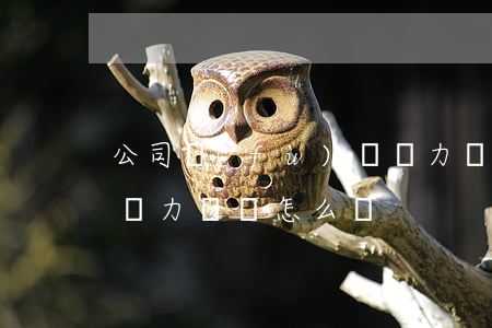 公司負(fù)債無力償還怎么辦(公司欠債無力償還怎么辦)