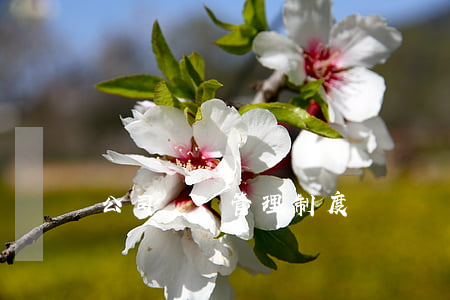公司財務管理制度