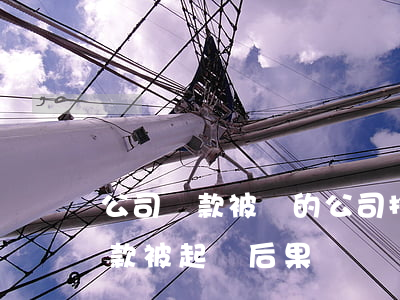公司貨款被別的公司拖欠怎么辦(公司拖欠貨款被起訴后果)