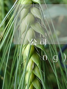 公司買賣合同糾紛如何解決(買賣合同當(dāng)事人發(fā)生糾紛)