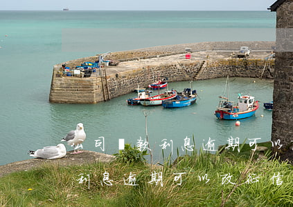 公司貸款利息逾期可以改征信嗎-公司貸款利息逾期可以改征信嗎怎么辦