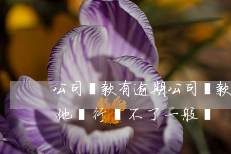 公司貸款有逾期(公司貸款有逾期是不是在其他銀行開不了一般戶)