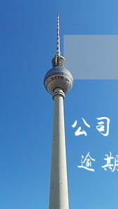 公司貸款法人有逾期(企業(yè)銀行貸款逾期對法人代表和股東有什么影響)
