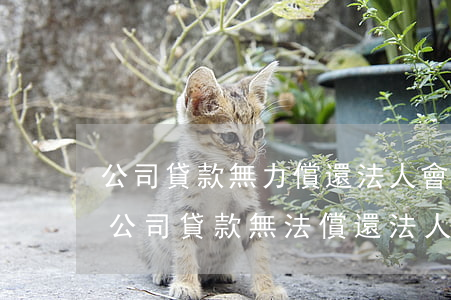 公司貸款無力償還法人會被限制高消費嗎-公司貸款無法償還法人會有什么影響