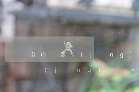 公司貸款經(jīng)營還不起(公司貸款經(jīng)營還不起怎么處理)