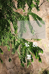 公司貸款逾期3個月(銀行貸款逾期3個月會怎樣)