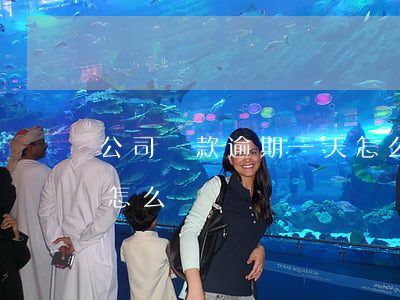 公司貸款逾期一天怎么辦(公司貸款逾期一天怎么辦)