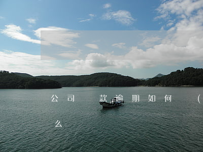 公司貸款逾期如何補(bǔ)救(逾期貸款怎么辦)