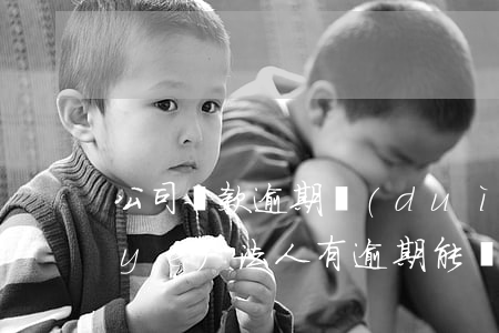公司貸款逾期對(duì)法人影響(企業(yè)法人有逾期能辦理貸款嗎)