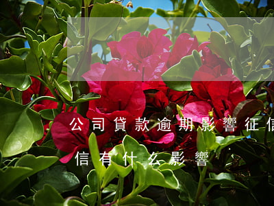 公司貸款逾期影響征信嗎(銀行貸款逾期上征信有什么影響)