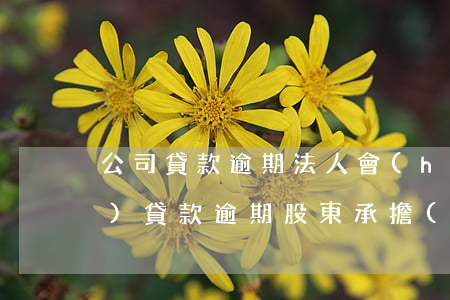 公司貸款逾期法人會(huì)(企業(yè)貸款逾期股東承擔(dān)責(zé)任嗎)