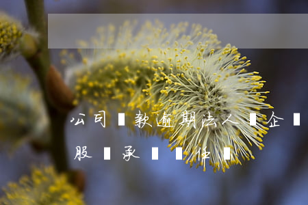 公司貸款逾期法人會(企業(yè)貸款逾期股東承擔責任嗎)