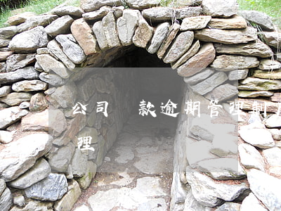 公司貸款逾期管理制度(公司貸款逾期怎么處理)