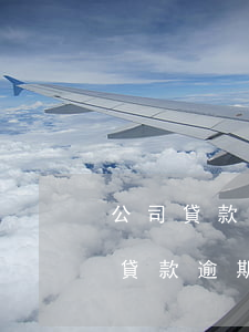 公司貸款逾期自己是法人(企業(yè)銀行貸款逾期對法人代表和股東有什么影響)