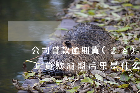 公司貸款逾期責(zé)任歸屬(企業(yè)貸款逾期后果是什么)