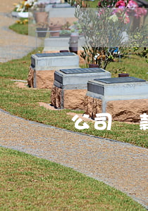 公司貸款逾期起訴誰