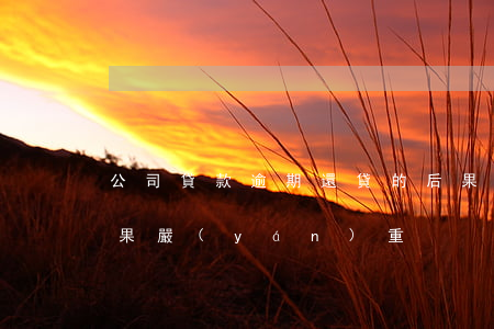 公司貸款逾期還貸的后果(貸款逾期有什么后果嚴(yán)重)