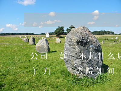 公司貸款還不起什么后果（公司貸款無(wú)力償還法院如何處理）