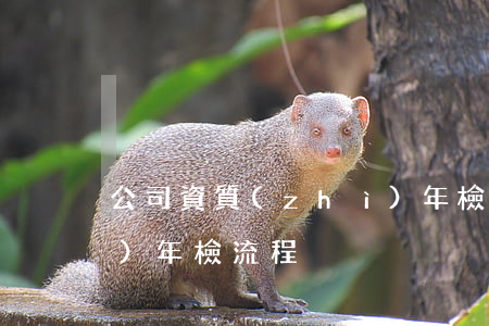 公司資質(zhì)年檢(公司資質(zhì)年檢流程)