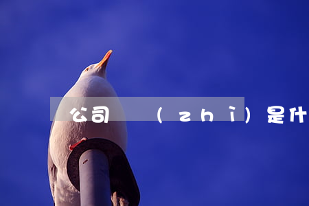 公司資質(zhì)是什么