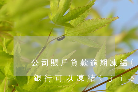 公司賬戶貸款逾期凍結(jié)(貸款逾期銀行可以凍結(jié)我的賬戶嗎)