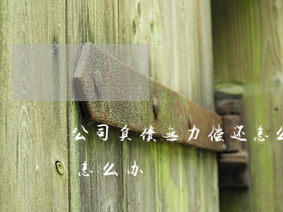 公司负债无力偿还怎么办(公司欠债无力偿还怎么办)
