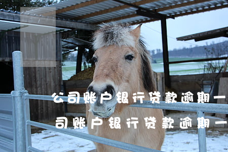 公司账户银行贷款逾期一天会上征信吗-公司账户银行贷款逾期一天会上征信吗