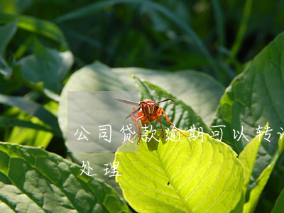 公司贷款逾期可以转让吗(公司贷款逾期怎么处理)