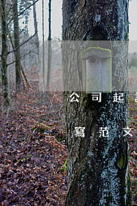 公司起訴委托書怎么寫(公司起訴委托書怎么寫范文)