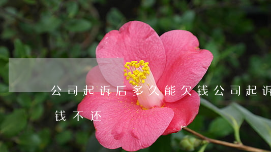 公司起诉后多久能欠钱(公司起诉后多久能欠钱不还)