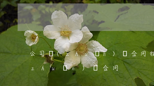 公司轉(zhuǎn)讓合同(物流公司轉(zhuǎn)讓合同)
