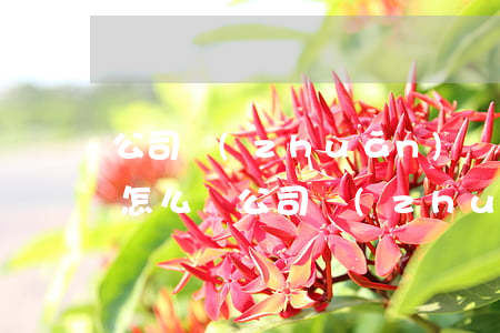 公司轉(zhuǎn)讓費(fèi)逾期怎么寫（公司轉(zhuǎn)讓費(fèi)逾期怎么寫）