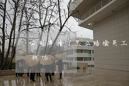 公司车撞了怎么赔偿(员工被车撞了公司要赔钱吗)