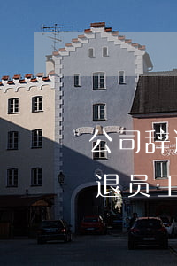 公司辞退员工的补偿金逾期未支付-公司辞退员工的补偿金逾期未支付怎么办