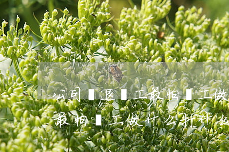 公司辭退員工最怕員工做什么(公司辭退員工最怕員工做什么打什么電話舉報(bào))