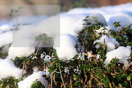 公司还款逾期算失信人么(已经在还款还属于失信人员吗)